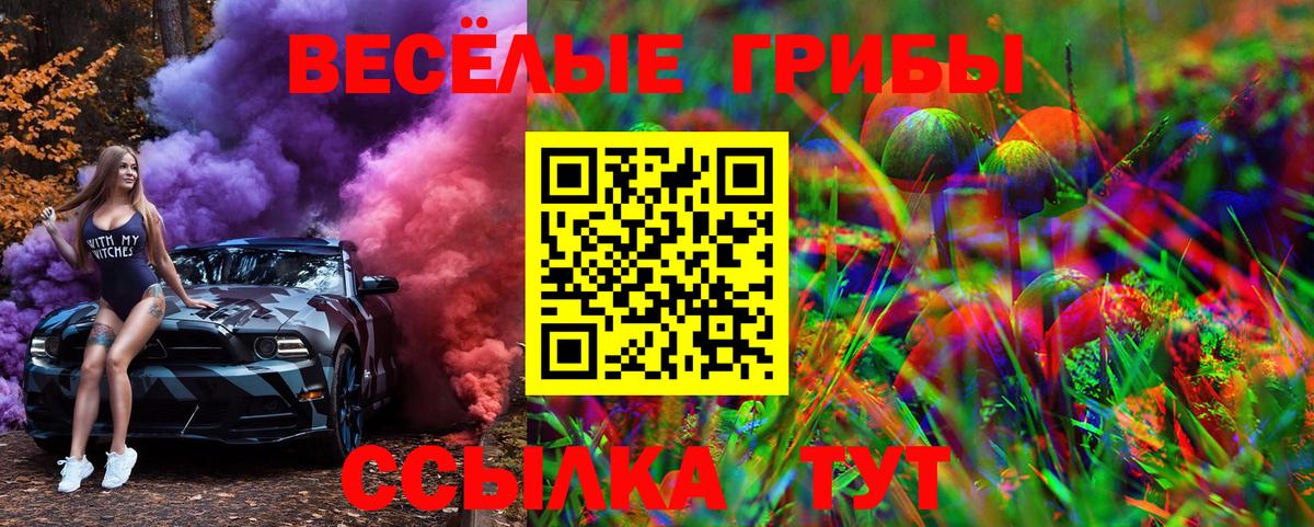Галлюциногенные грибы Psilocybe Заречный